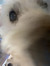 Amy