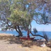 Δήμητρα Τζιμουλίνι