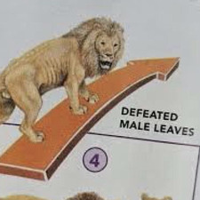 emma &#x1f926;&#x1f613;