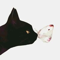 Евгения Крыжановская