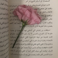 Noura