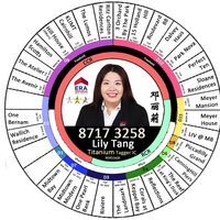 Lily Tang