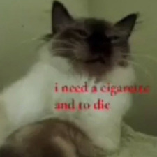 yadriel v. s. alvarez