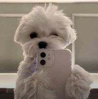 Queency Delos Santos