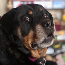 Jackie Salamone-Bailey