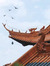 Uyên Phạm