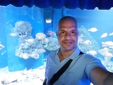 Tarek Fathallah