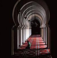 مؤمن البيومى