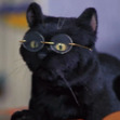 Immeow