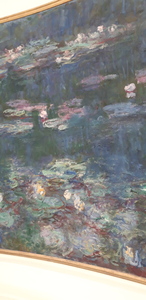 Mohr 