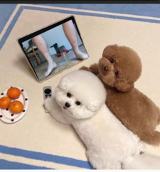 ig     ╾━╤デ╦︻(▀̿Ĺ̯▀̿