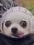 Dom