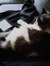 Nienke