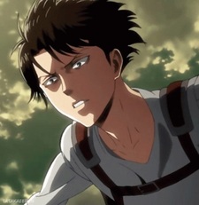 Levi Ackerman 