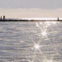 Misheel Orgilsaikhan