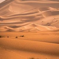 শফি-আল মুহাম্মদ