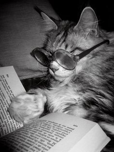 Goodreads profile picture for @kartikey