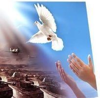 Оля Ковалевська