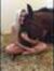 Aleeah Sheedy
