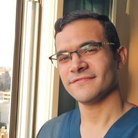 Mohamed Amer