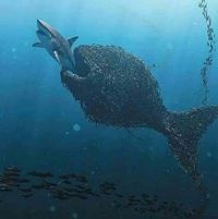 Величка Андонова