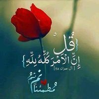 قصي حاج حسين