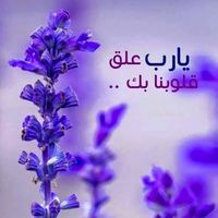 ابوحذيفه الوردانى