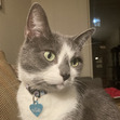 Skylar