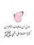 ياسر أب...