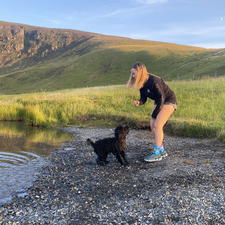 Ffion Llewelyn