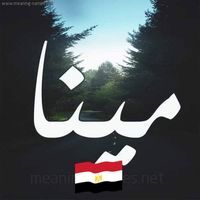مينا فوزى