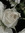 Cup_of_earl_grey