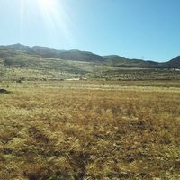 Carlos Delgado Henríquez