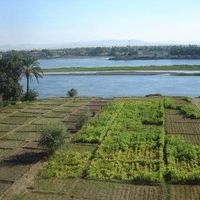 محمد المالكي