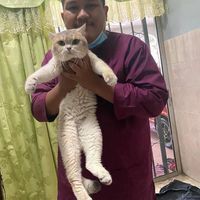 Muhammad Amzar