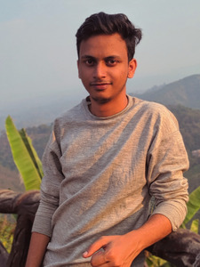 Hasan Rizvee