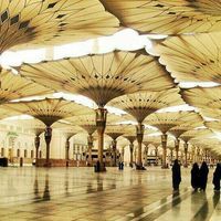 أحمد الانصاري