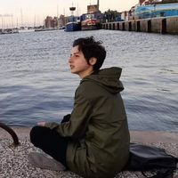 ანა გოგიშვილი