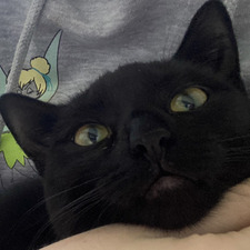 Kira
