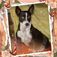 Angélica Apache Franco