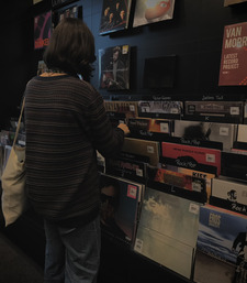 ✧･ﾟivy*✧･ﾟ