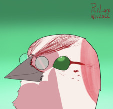 Rook Bellflower