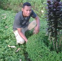 Philipus Dari Florence