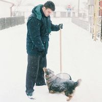 Срђан Поповић