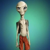 مصطفى ابو الوفا