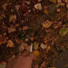 anna (taylor’s version)