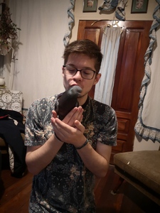 Sebastien Nadeau Mercado