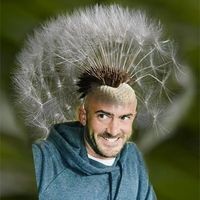 Keegan Fields