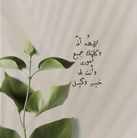 ولاآاء ناجح