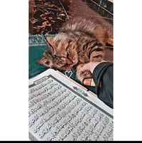 مشتاقة للكعبة